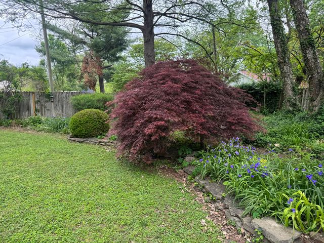 1140 S Weller Avenue, Springfield, MO 65804