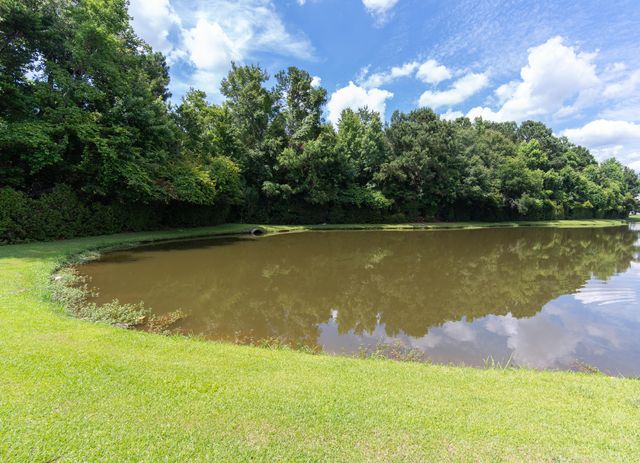 142 Black River Drive, Summerville, SC 29485