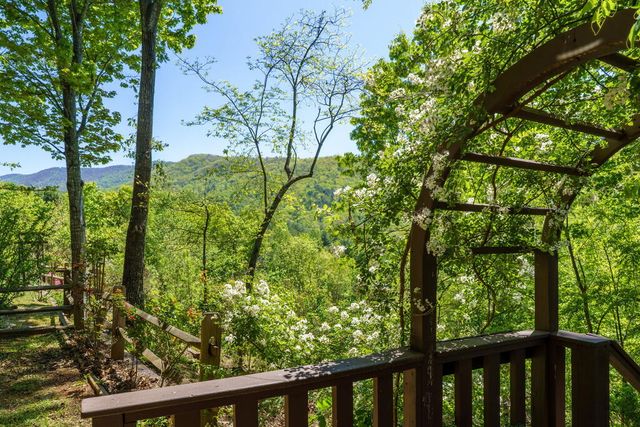 45 Black Bear Trace, Murphy, NC 28906