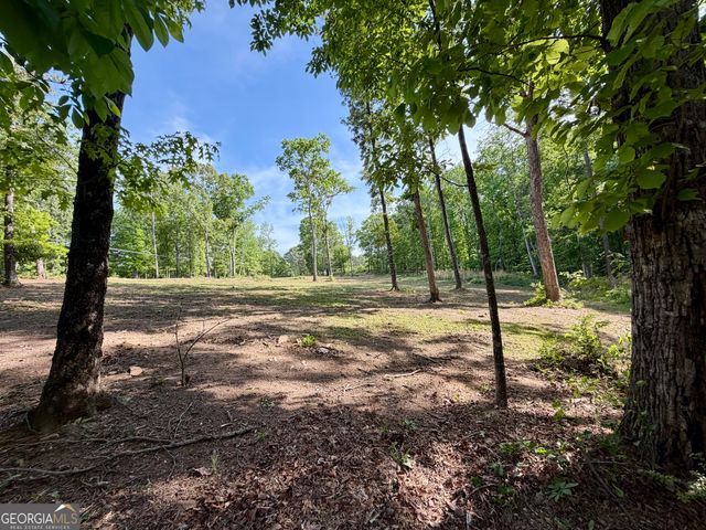 8518 Downs Road, Winston, GA 30187