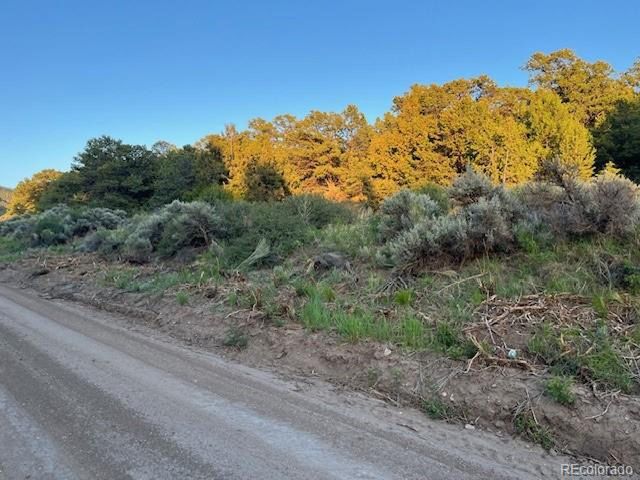 1575 Balleroy Rd, San Luis, CO 81152