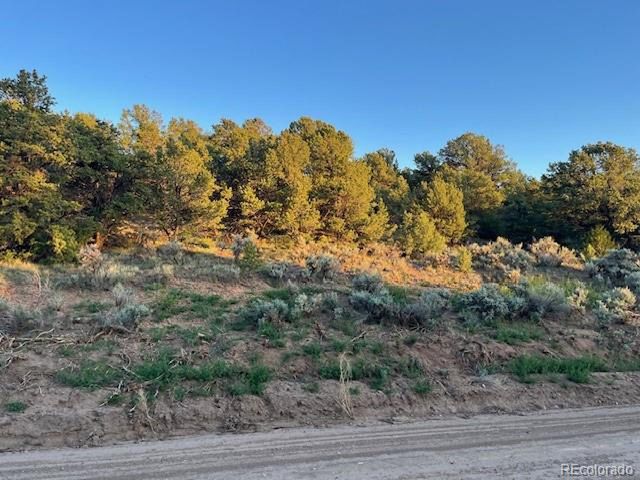 1575 Balleroy Rd, San Luis, CO 81152