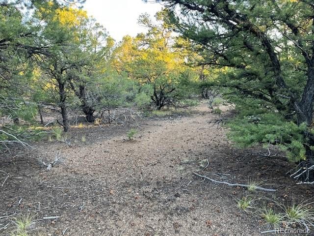 1575 Balleroy Rd, San Luis, CO 81152