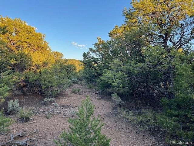 1575 Balleroy Rd, San Luis, CO 81152