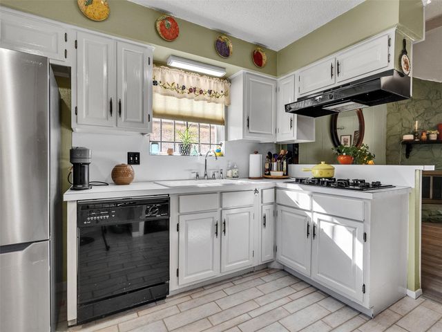 231 San Fernando Drive, Houston, TX 77060