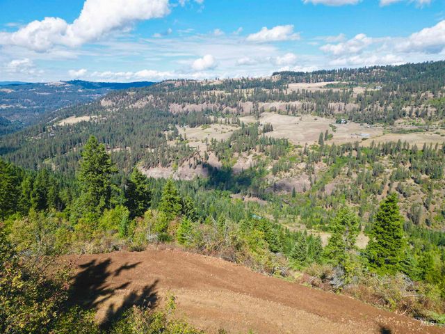 1762 Tranquil Lane, Orofino, ID 83544