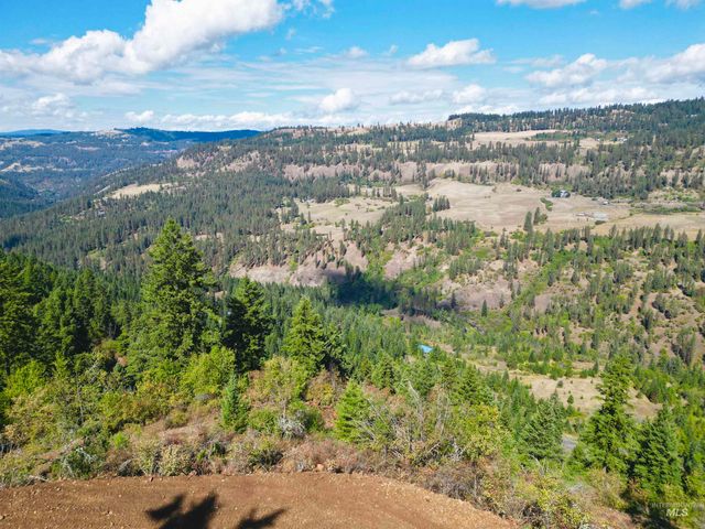 1762 Tranquil Lane, Orofino, ID 83544