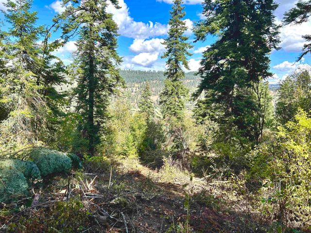 1762 Tranquil Lane, Orofino, ID 83544