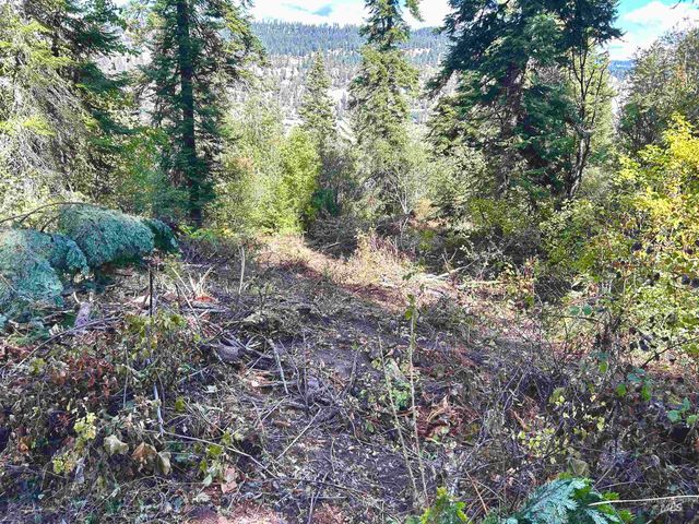 1762 Tranquil Lane, Orofino, ID 83544