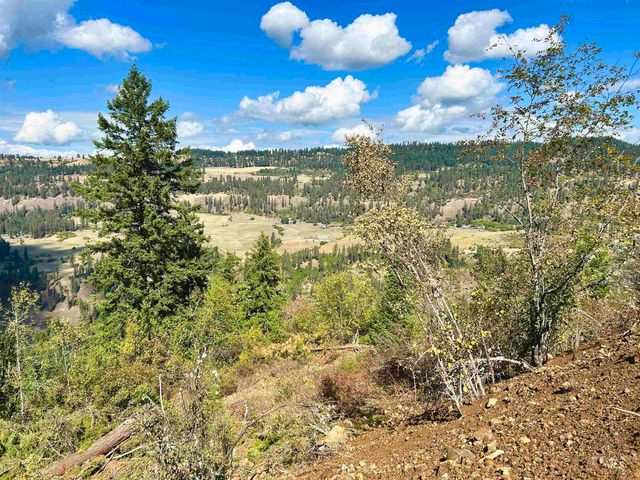 1762 Tranquil Lane, Orofino, ID 83544