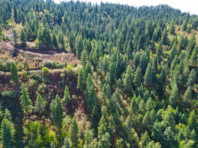 1762 Tranquil Lane, Orofino, ID 83544