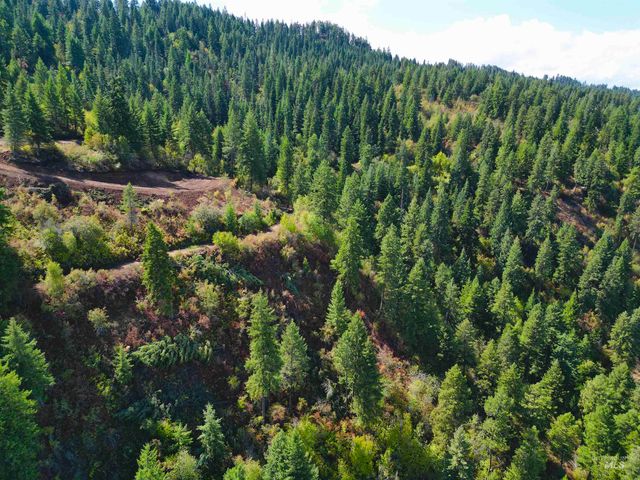1762 Tranquil Lane, Orofino, ID 83544