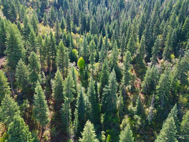 1762 Tranquil Lane, Orofino, ID 83544