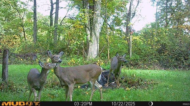 17527 County Road 14, Goshen, IN 46528