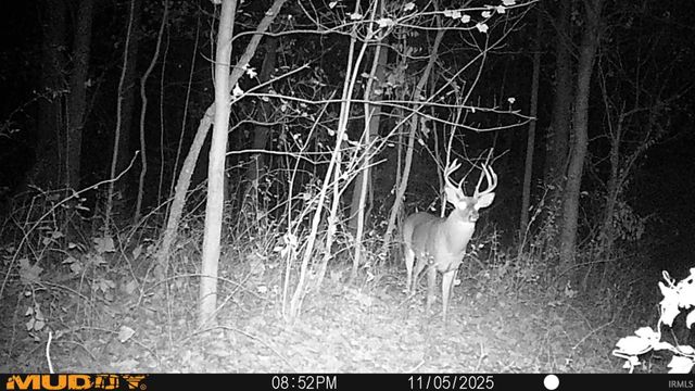 17527 County Road 14, Goshen, IN 46528