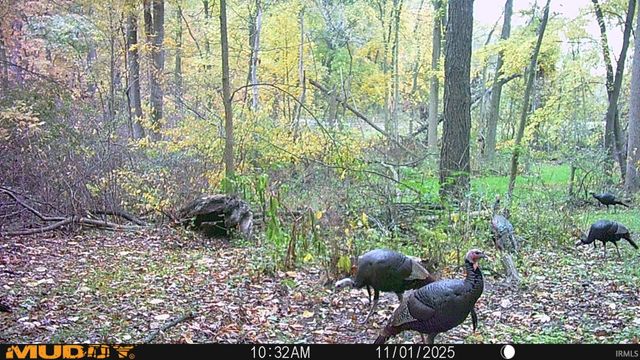 17527 County Road 14, Goshen, IN 46528