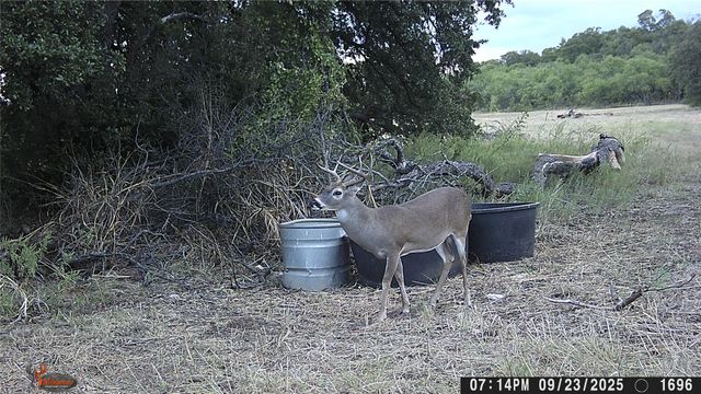 447 County Road 411, Coleman, TX 76834