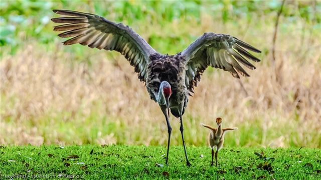 1624 Sentinel Point Road, Sebring, FL 33875