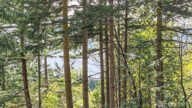 0 XXX Campbell Lake Road, Anacortes, WA 98221