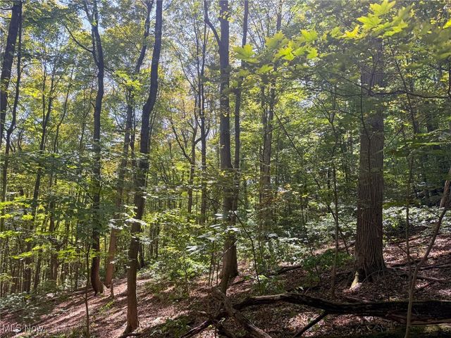 Kingsridge Rd, East Liverpool, OH 43920