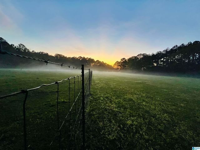 383 COUNTRY CHURCH ROAD, Harpersville, AL 35078