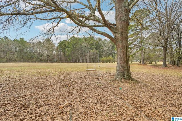 383 COUNTRY CHURCH ROAD, Harpersville, AL 35078