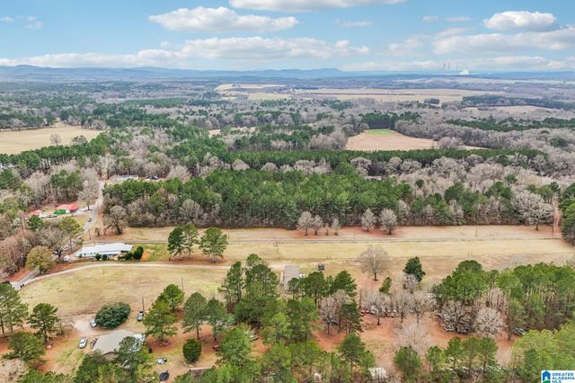 383 COUNTRY CHURCH ROAD, Harpersville, AL 35078