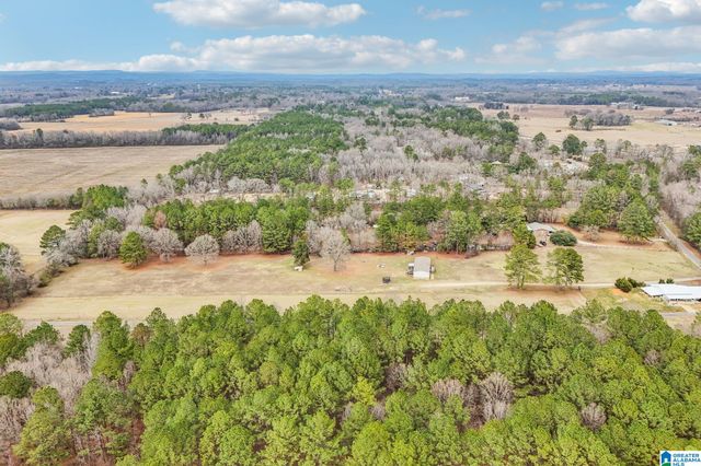 383 COUNTRY CHURCH ROAD, Harpersville, AL 35078