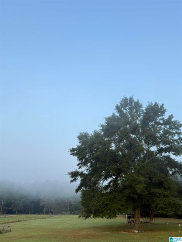 383 COUNTRY CHURCH ROAD, Harpersville, AL 35078