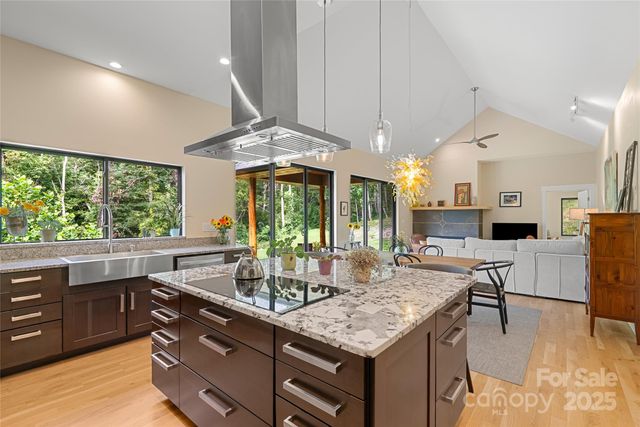 14 Starling Pass, Asheville, NC 28804