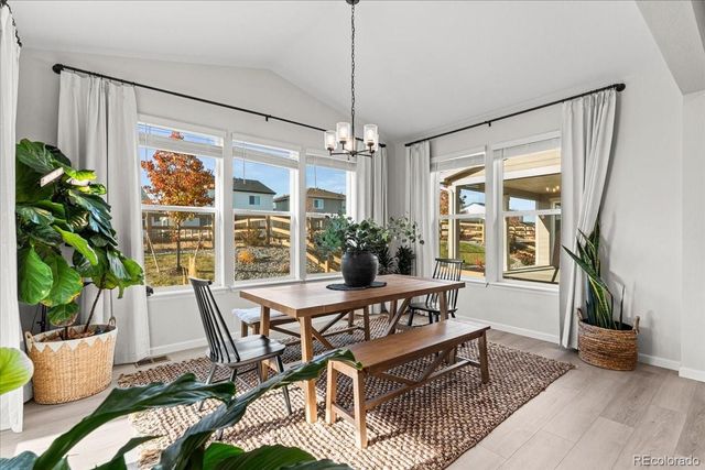 946 Rustling Drive, Windsor, CO 80550