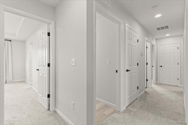 946 Rustling Drive, Windsor, CO 80550