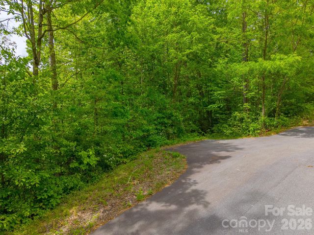 LT 27 Peak View Lane, Waynesville, NC 28785