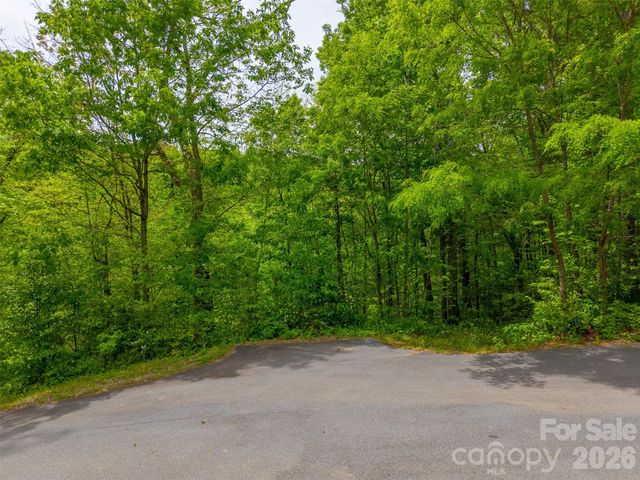 LT 27 Peak View Lane, Waynesville, NC 28785