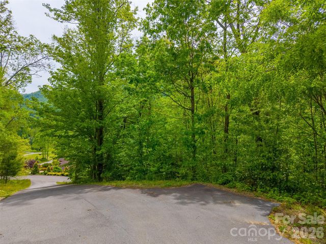 LT 27 Peak View Lane, Waynesville, NC 28785