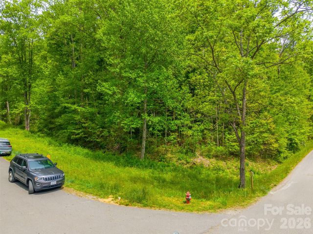 LT 27 Peak View Lane, Waynesville, NC 28785