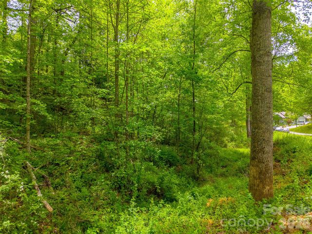 LT 27 Peak View Lane, Waynesville, NC 28785