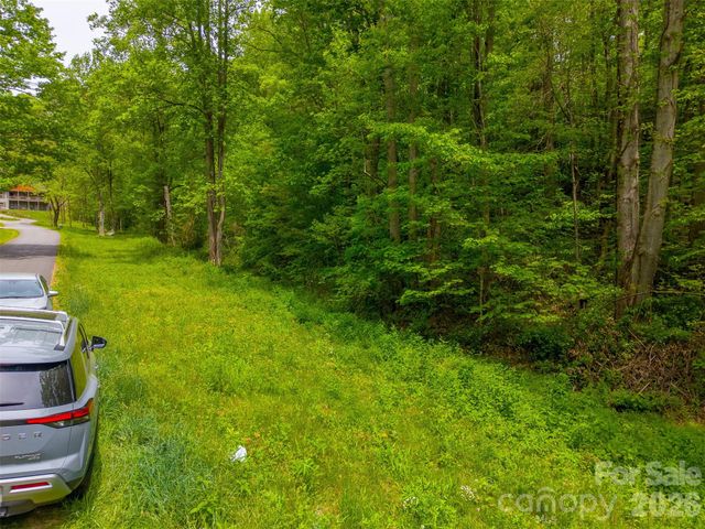 LT 27 Peak View Lane, Waynesville, NC 28785