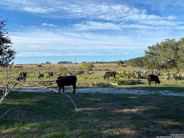 1355 CR 777, Devine, TX 78016
