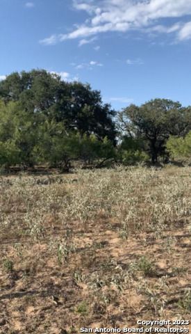 1355 CR 777, Devine, TX 78016