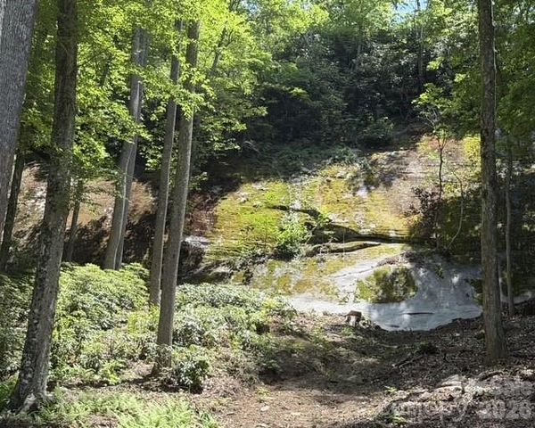 212 Estate Drive, Hendersonville, NC 28739
