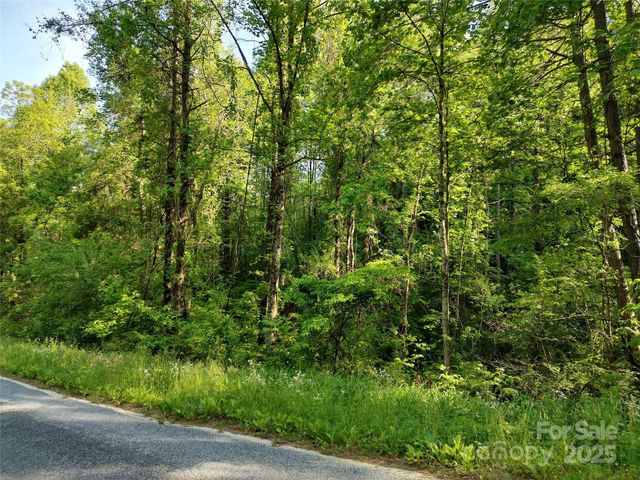 0000 Lindsey Loop Road, Fletcher, NC 28732
