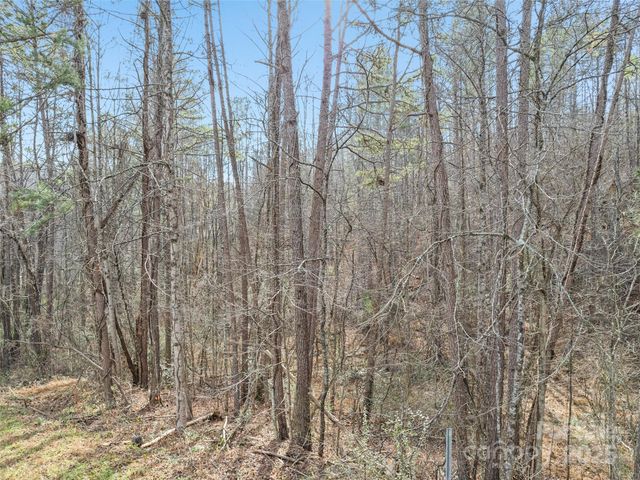 0000 Lindsey Loop Road, Fletcher, NC 28732