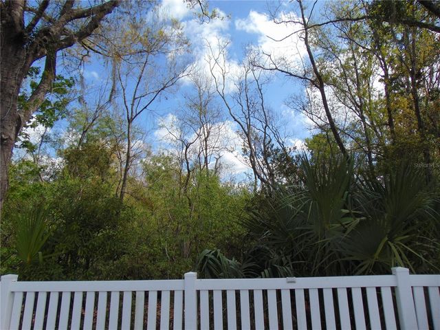 4706 TAMPA DOWNS BOULEVARD, Lutz, FL 33559