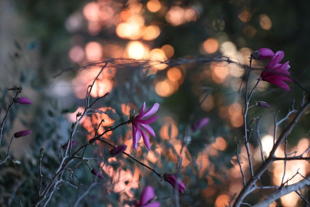 4559 Smoak Road, Meggett, SC 29449