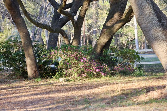 4559 Smoak Road, Meggett, SC 29449