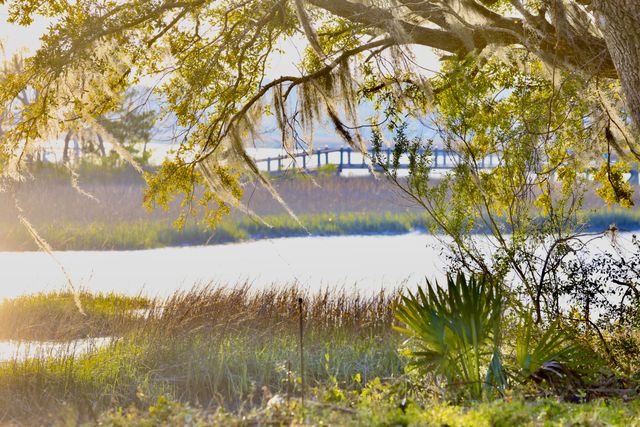 4559 Smoak Road, Meggett, SC 29449