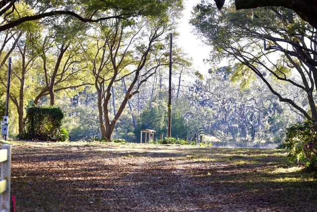 4559 Smoak Road, Meggett, SC 29449