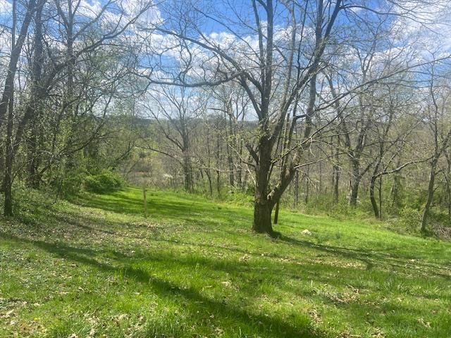 162 Bloomin Hill, Ona, WV 25545
