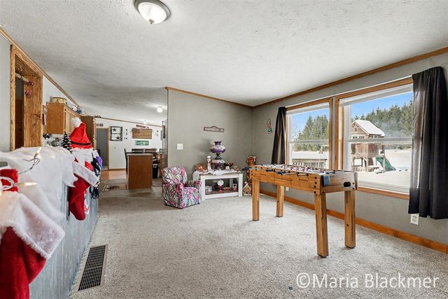 1451 W Charles Road, Ionia, MI 48846